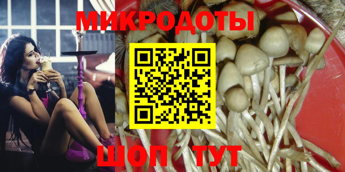 Галлюциногенные грибы Magic Shrooms  Вход с VPN  Курчалой 